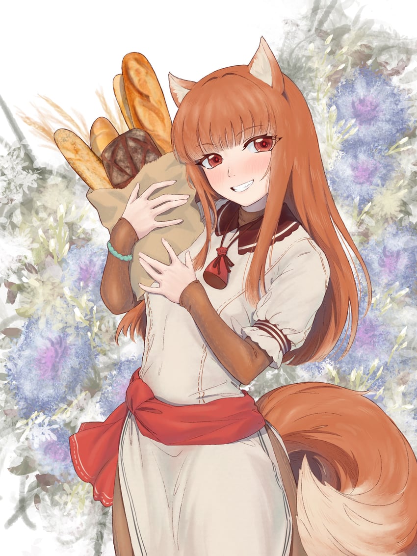 holo (spice and wolf) drawn by tororo_kafka