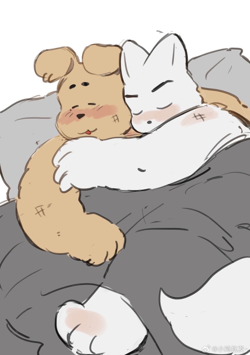 don't pick up dogs without reason drawn by xiao_ji_pi_fa