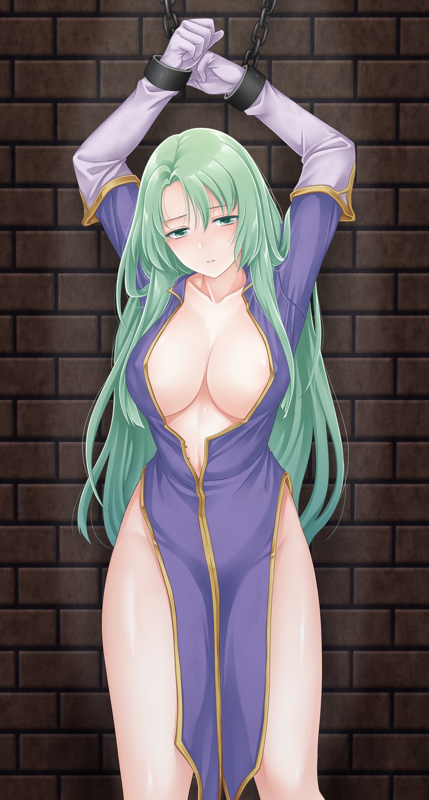 cecilia (fire emblem and 1 more) drawn by ham_pon