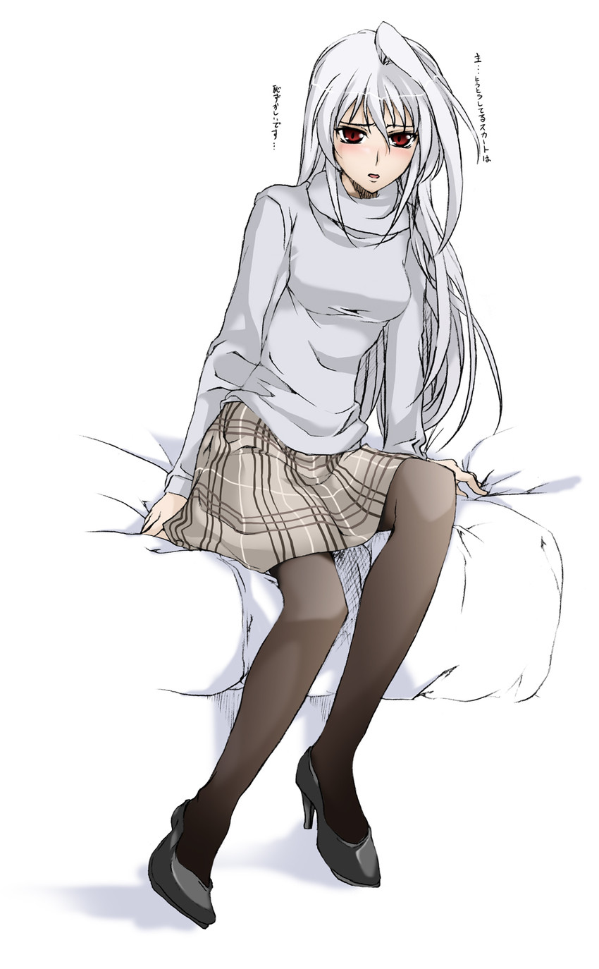 reinforce (lyrical nanoha and 2 more) drawn by elf_(stroll_in_the_woods)