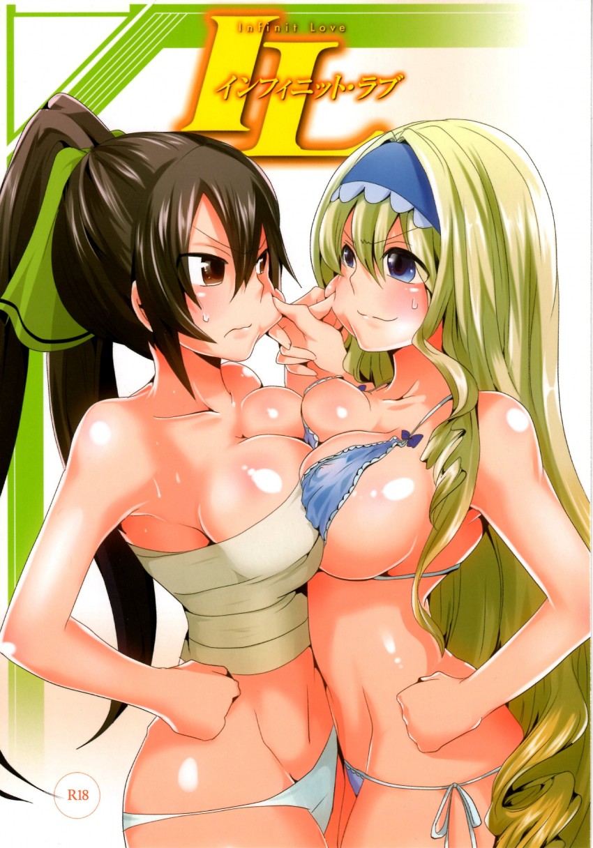 cecilia alcott and shinonono houki (infinite stratos) drawn by doumou