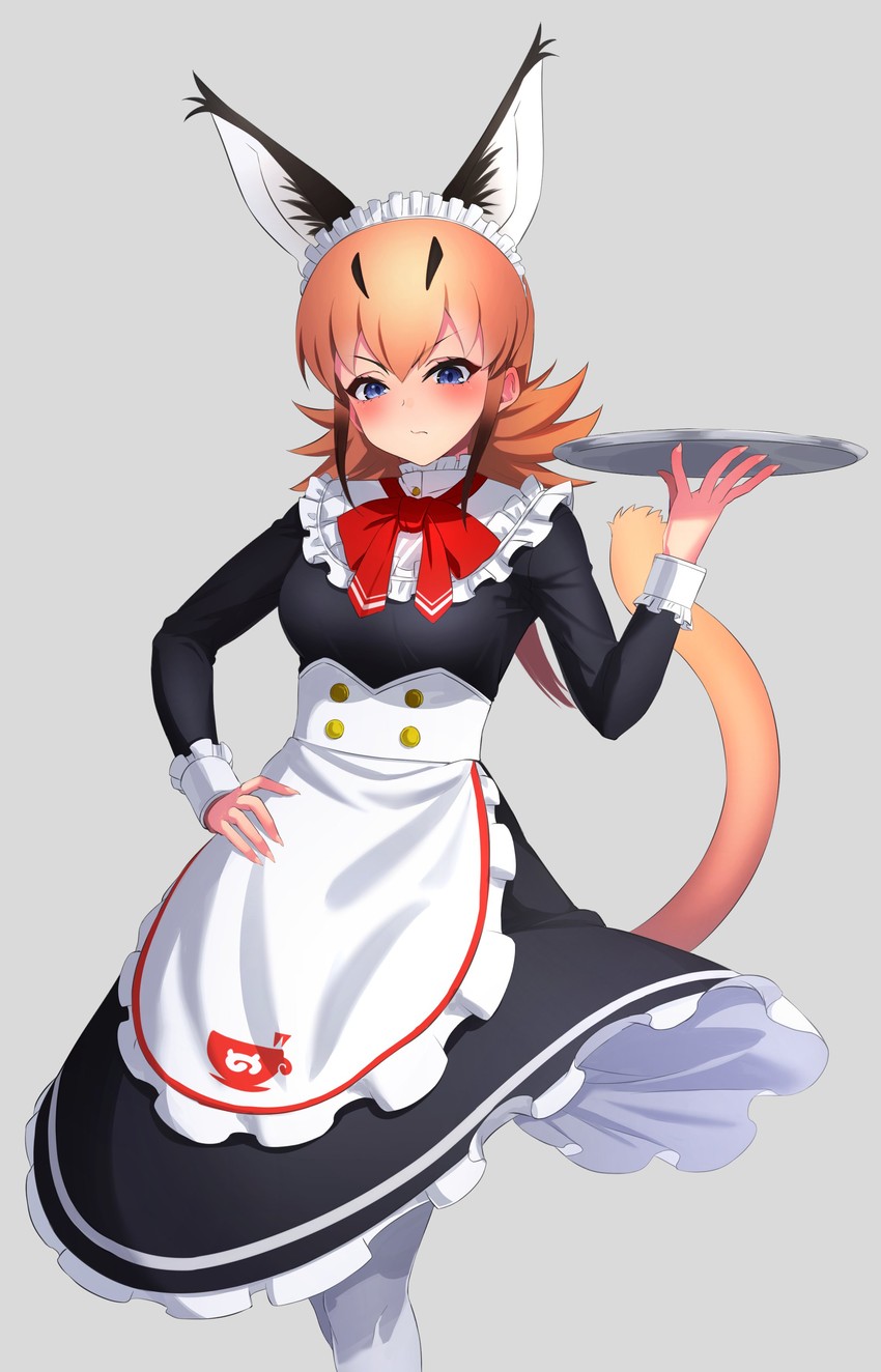 caracal (kemono friends and 1 more) drawn by deku_suke