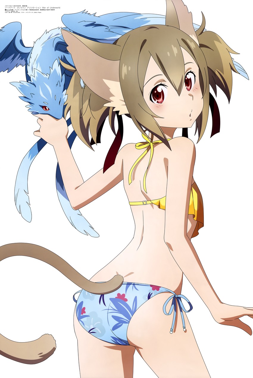 silica and pina (sword art online and 1 more) drawn by aquastar_inc.