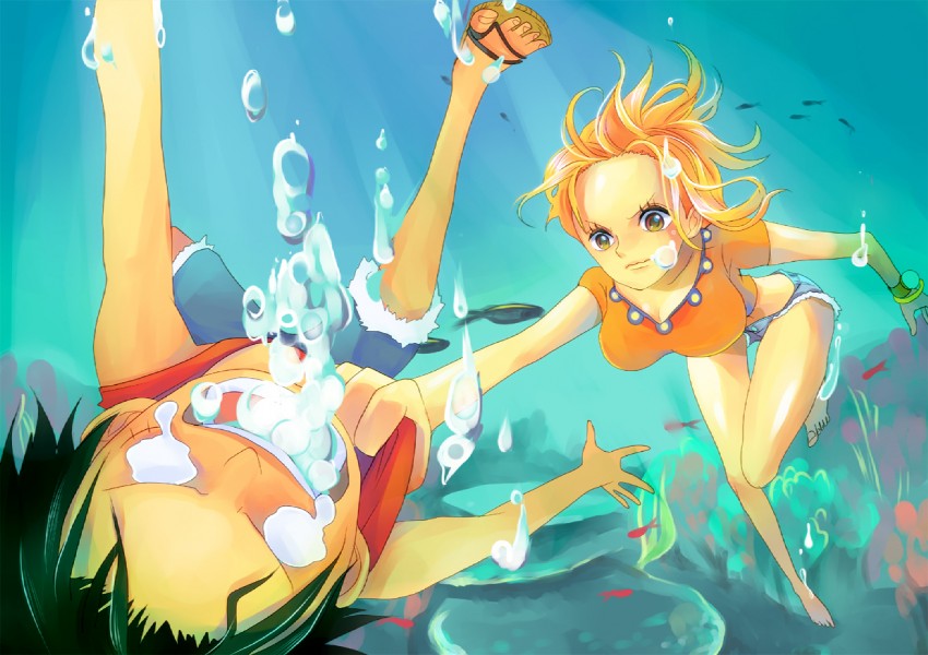 nami and monkey d. luffy (one piece) drawn by himerinco