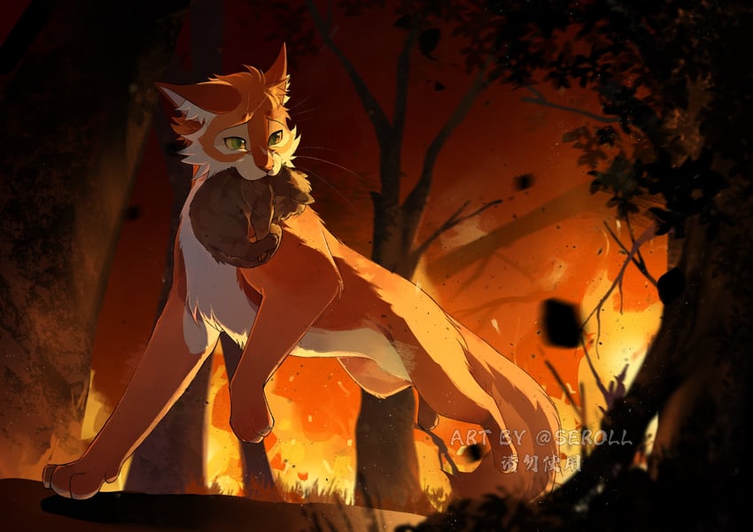 firestar and bramblestar (warrior cats and 1 more) drawn by seroll