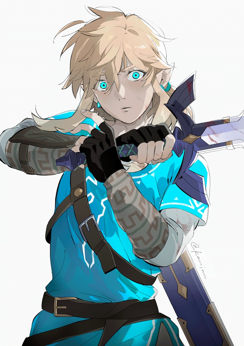 link (the legend of zelda and 1 more) drawn by kaninn