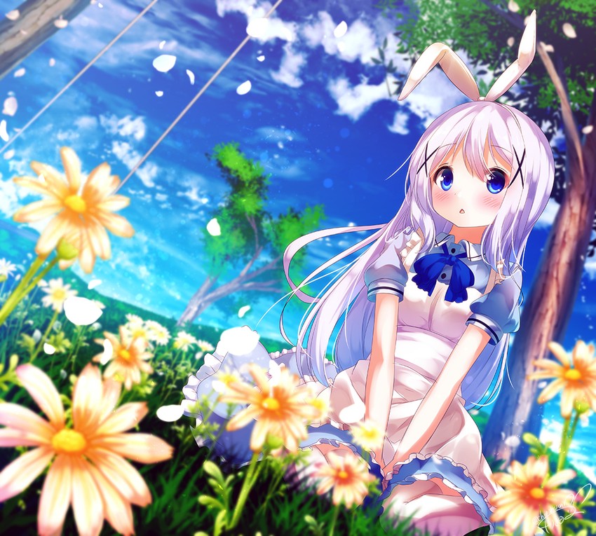 kafuu chino (gochuumon wa usagi desu ka?) drawn by chinomaron