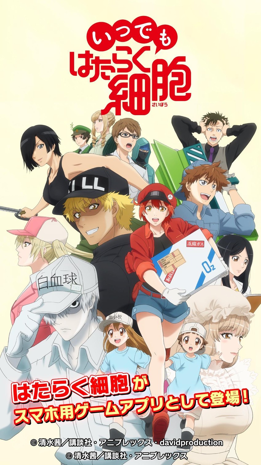 platelet, white blood cell, red blood cell, ae-3803, u-1146, and 12 more (hataraku saibou)