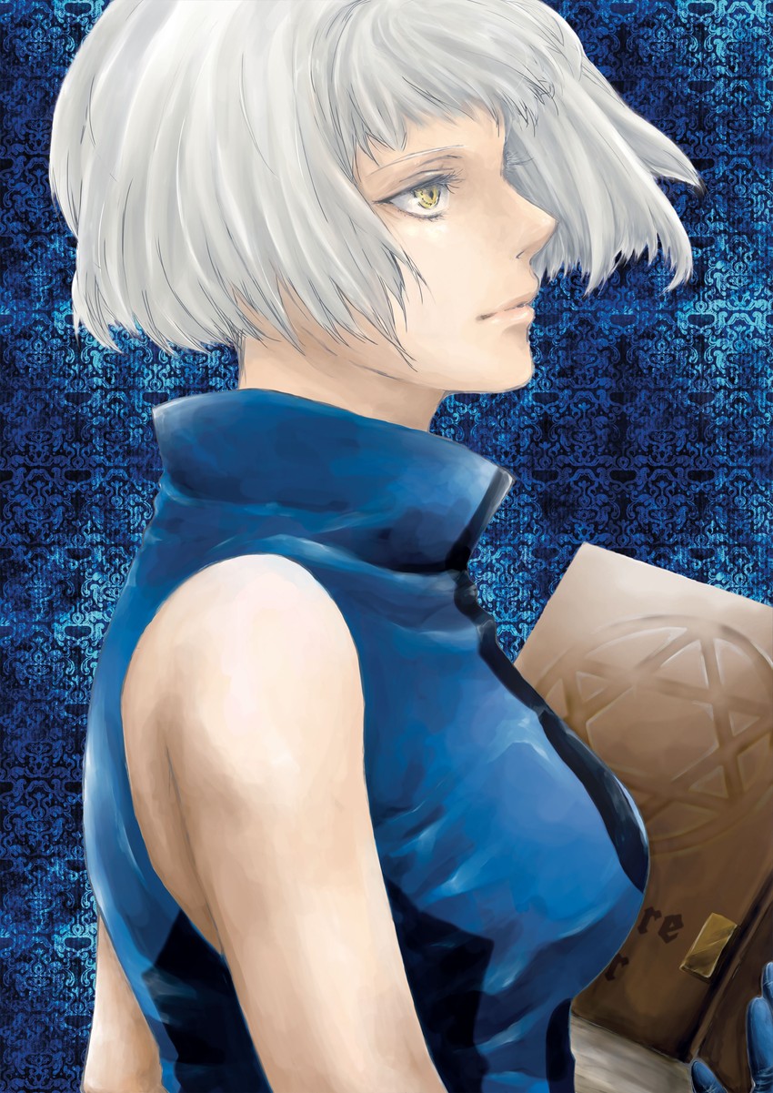 elizabeth (persona and 1 more) drawn by yuzu_takamura