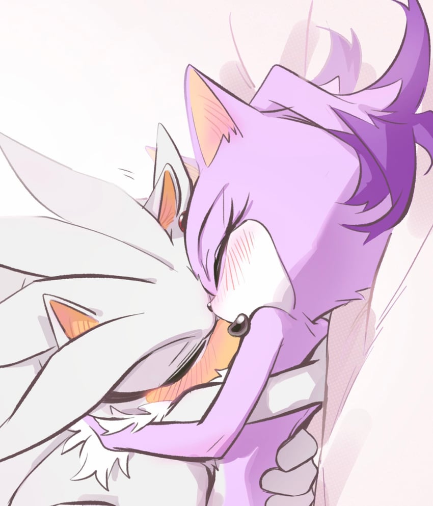 blaze the cat and silver the hedgehog (sonic) drawn by miijiu