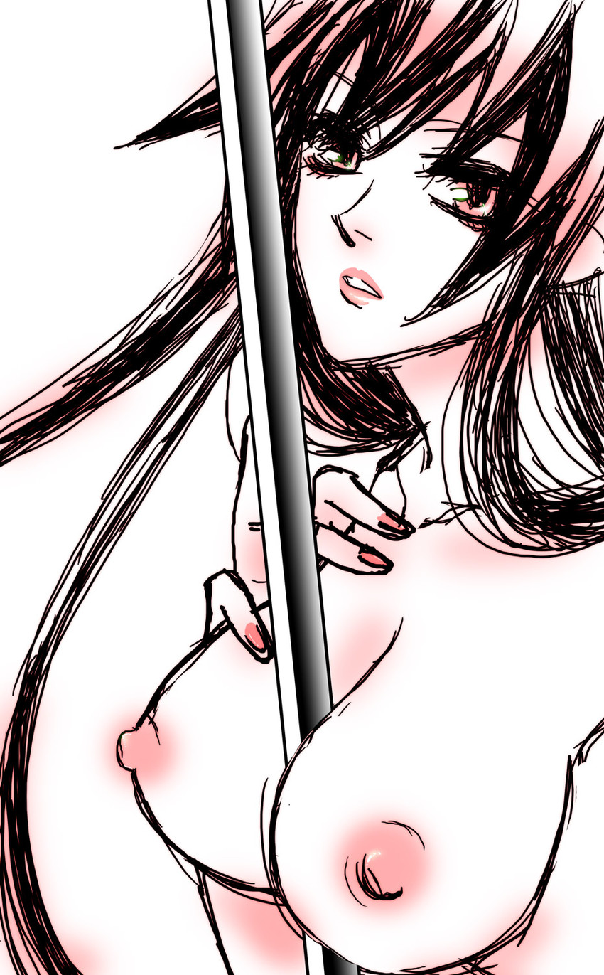 busujima saeko (highschool of the dead) drawn by hikaru_(asteriskring)