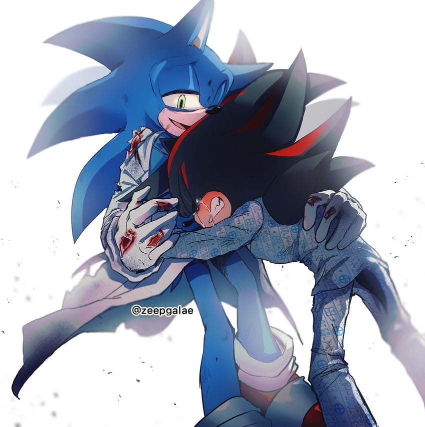 sonic the hedgehog and shadow the hedgehog (sonic) drawn by shapam_(zeepgalae)