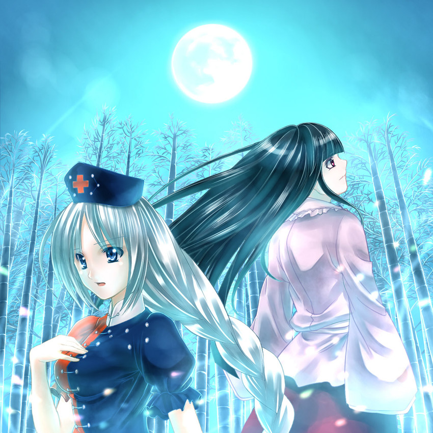 houraisan kaguya and yagokoro eirin (touhou) drawn by takemori_shintarou