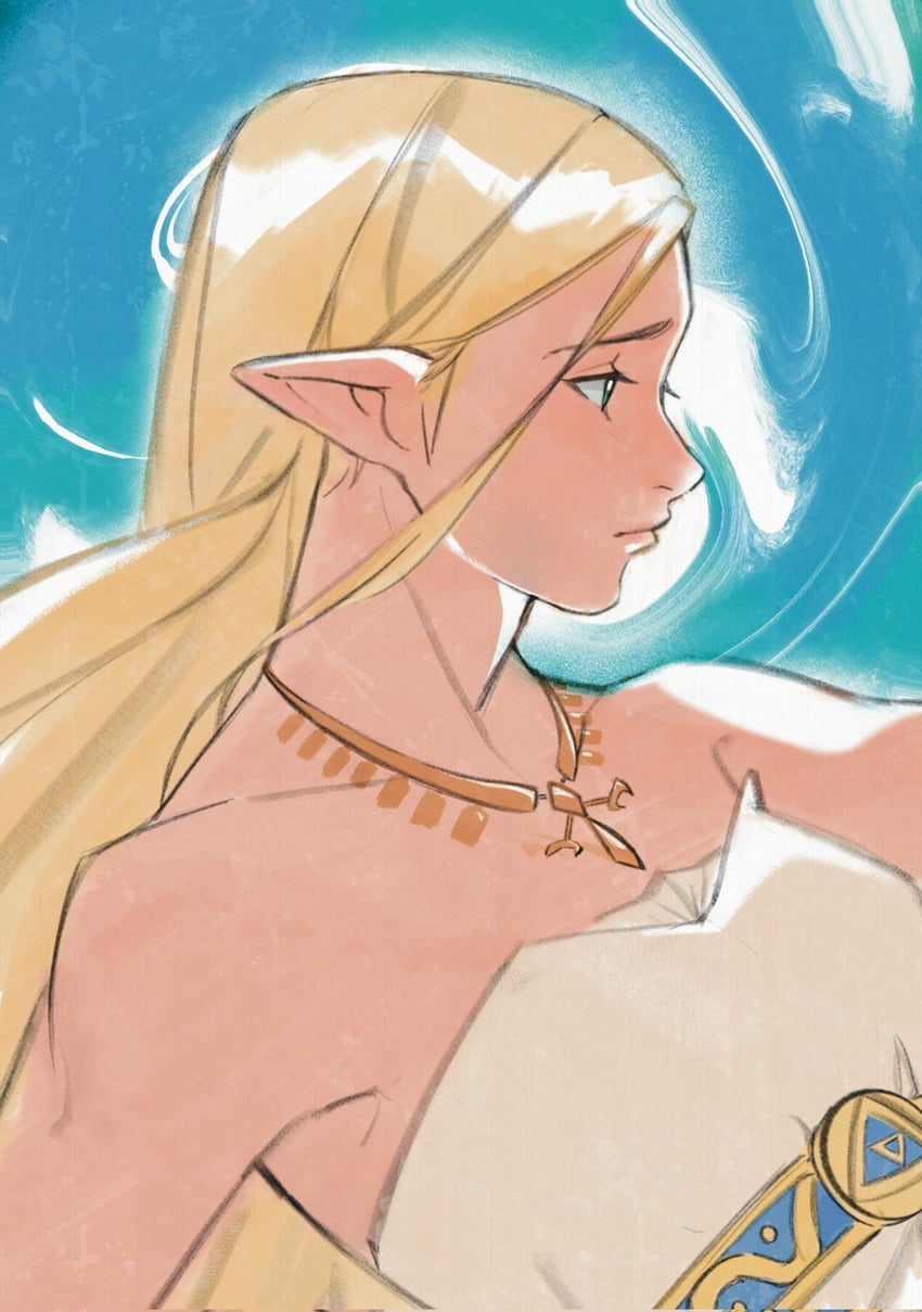 princess zelda (the legend of zelda and 1 more) drawn by mmariesr
