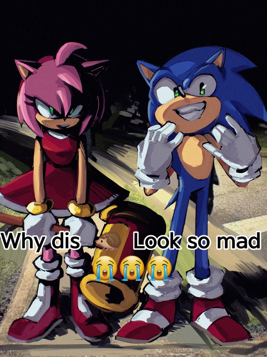 sonic the hedgehog and amy rose (sonic) drawn by copium_v