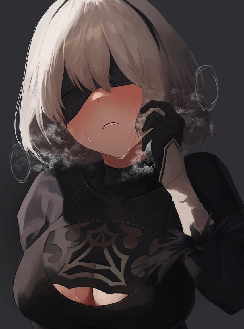 2b (nier and 1 more) drawn by dio_nand
