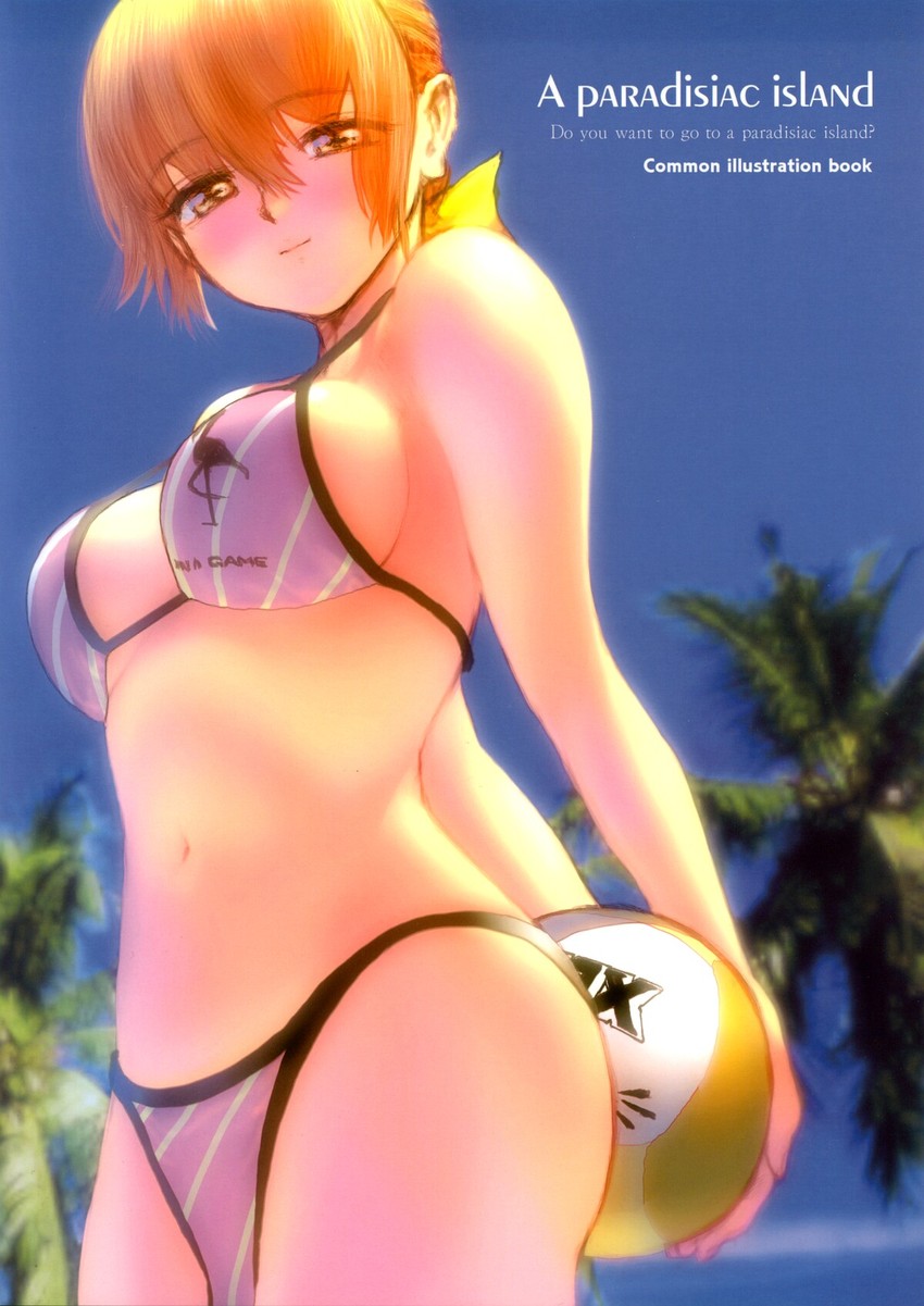 kasumi (dead or alive and 1 more) drawn by ebina_souichi