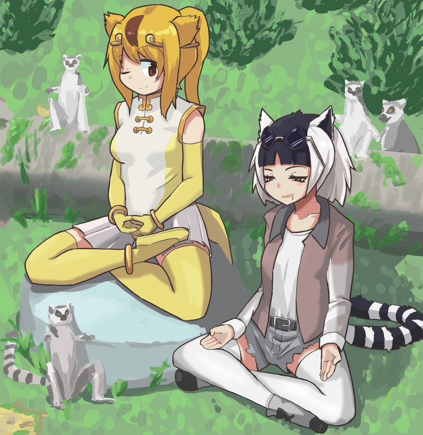 golden snub-nosed monkey and ring-tailed lemur (kemono friends) drawn by hane_(kirschbaum)