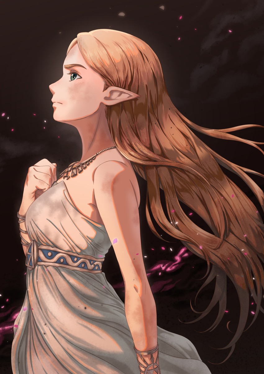 princess zelda (the legend of zelda and 1 more) drawn by akita_ayumu