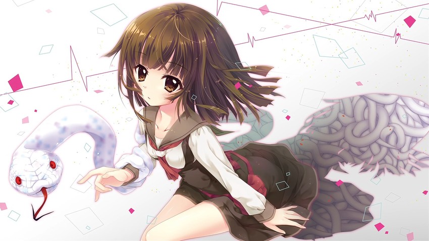 sengoku nadeko and kuchinawa (monogatari and 1 more) drawn by izumi_tsubasu
