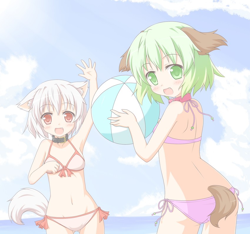 inubashiri momiji and kasodani kyouko (touhou) drawn by shino_megumi