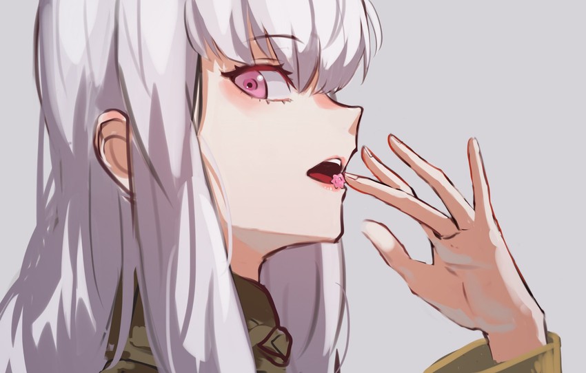 lysithea von ordelia (fire emblem and 1 more) drawn by oone0206