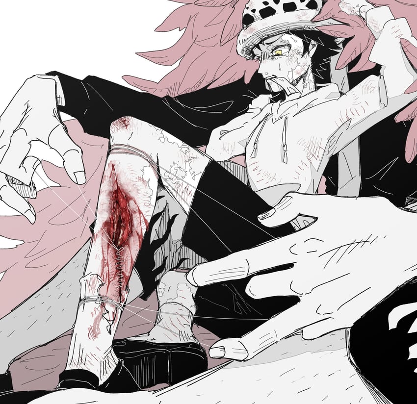 trafalgar law and donquixote doflamingo (one piece) drawn by k84612