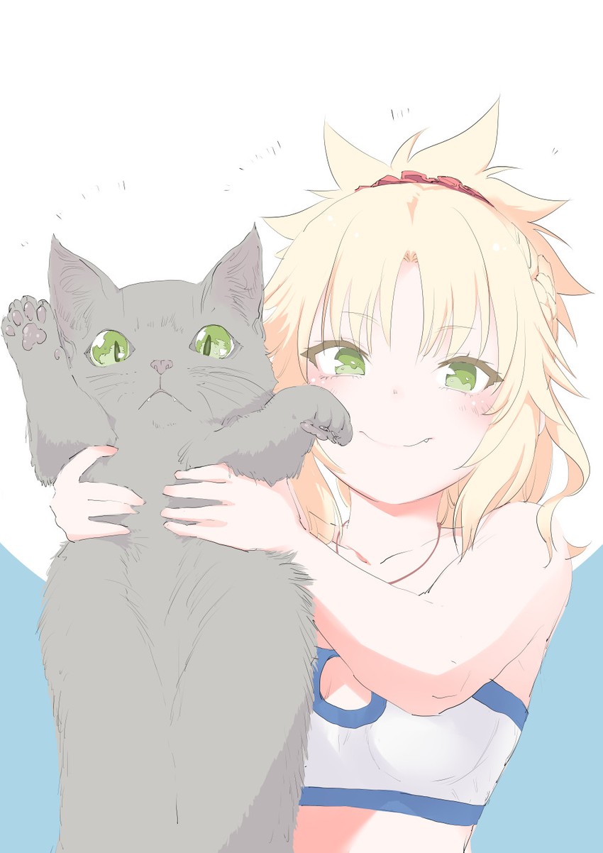 mordred (fate and 1 more) drawn by mozu_(peth)