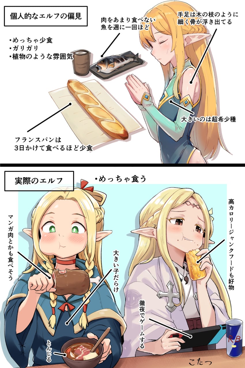 marcille donato and eldali ilma fanomenel (dungeon meshi and 1 more) drawn by tada_no_nasu