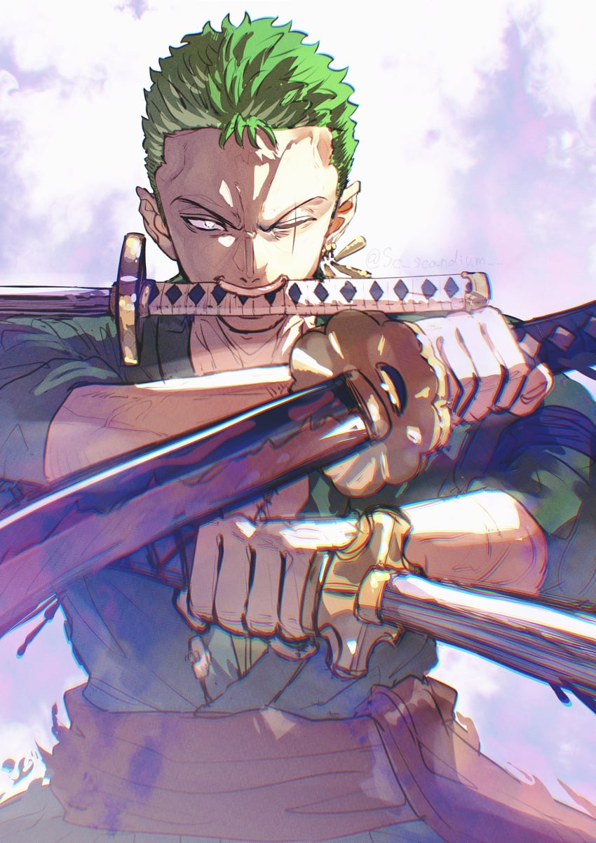 roronoa zoro (one piece) drawn by sc_scandium