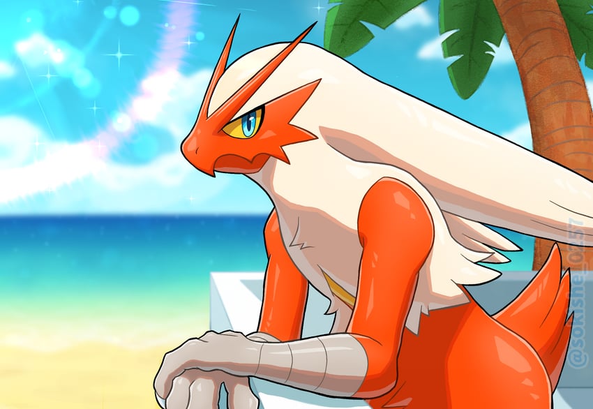 blaziken (pokemon) drawn by sokishii