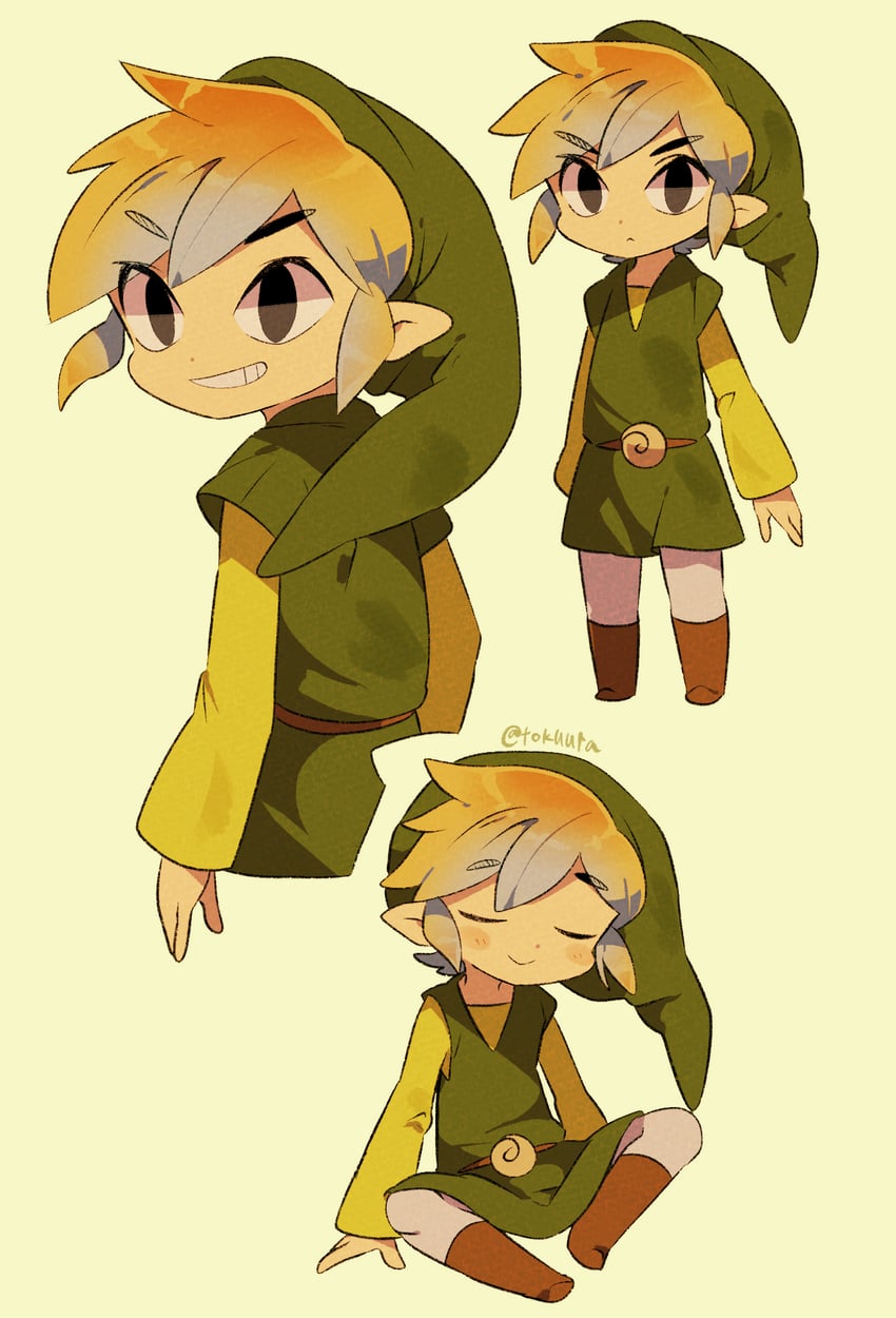 link and toon link (the legend of zelda and 1 more) drawn by tokuura