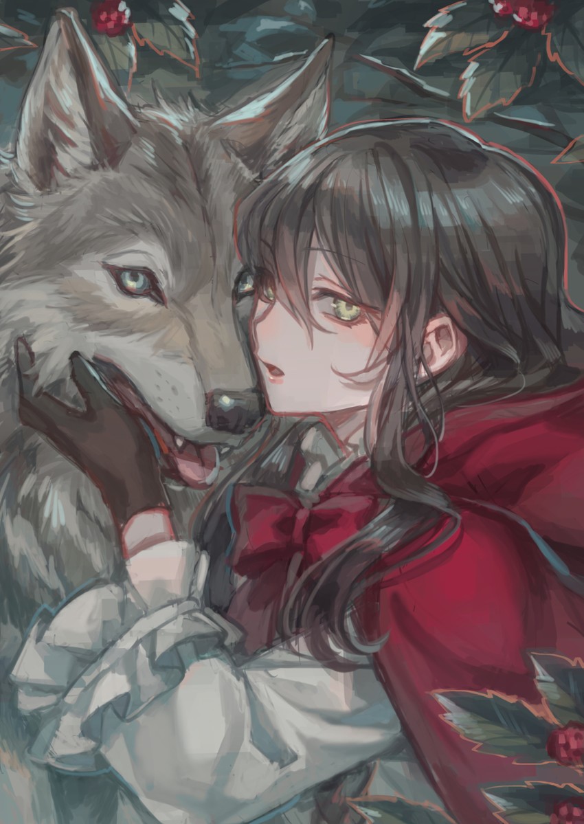 little red riding hood (original and 1 more) drawn by suzaku_(zaku6584)