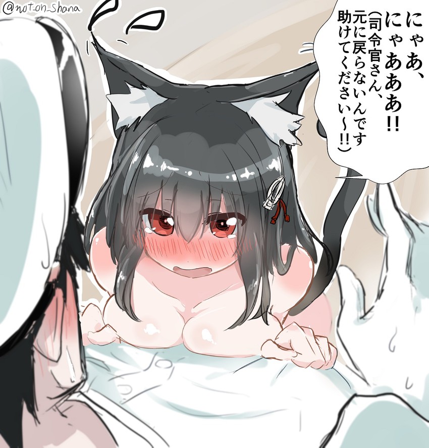 admiral and haguro (kantai collection) drawn by not_on_shana