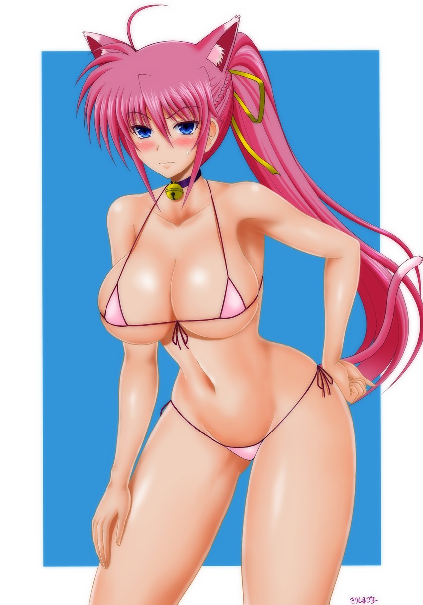 signum (lyrical nanoha and 2 more) drawn by kirishima_goro_(55541)