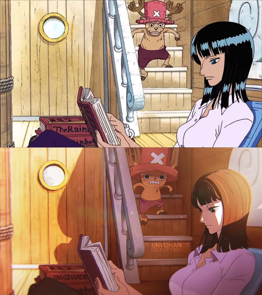 nico robin and tony tony chopper (one piece) drawn by envi2hands