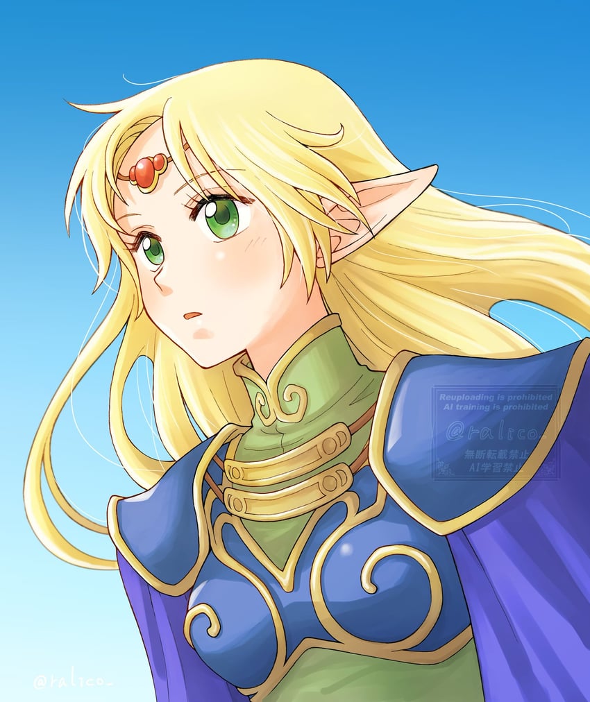 deedlit (record of lodoss war) drawn by ralico