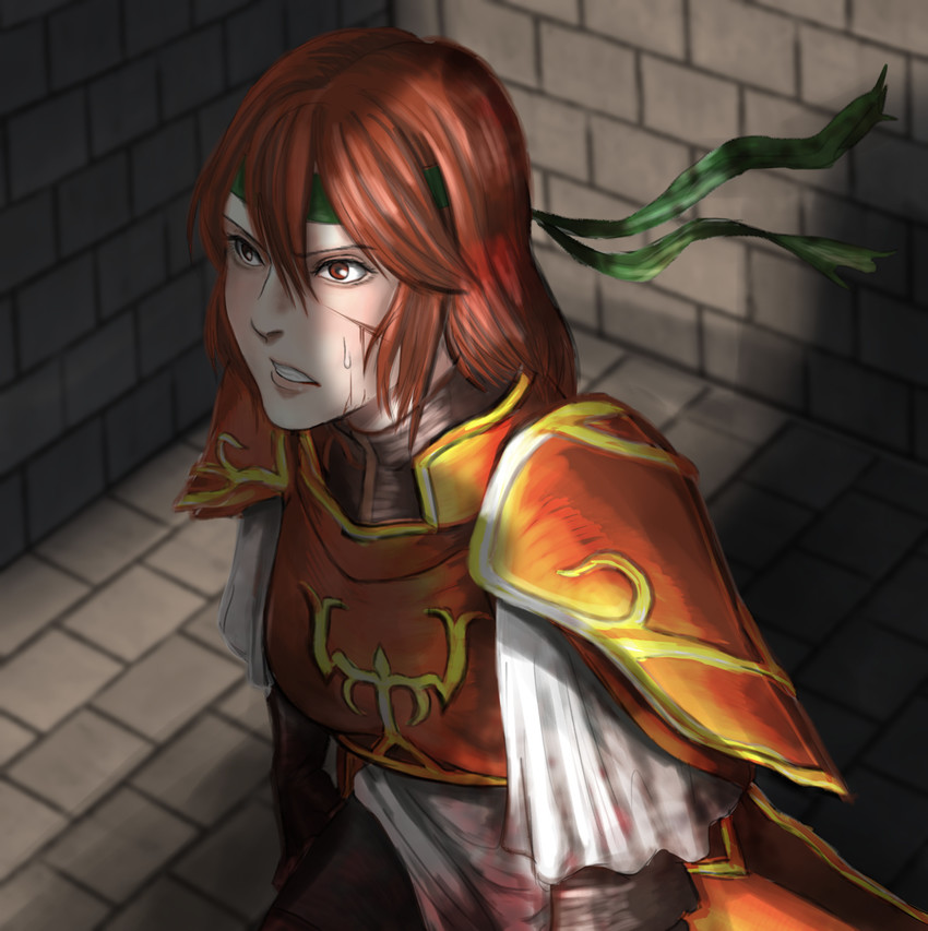minerva (fire emblem and 2 more) drawn by nanbu_yasumi