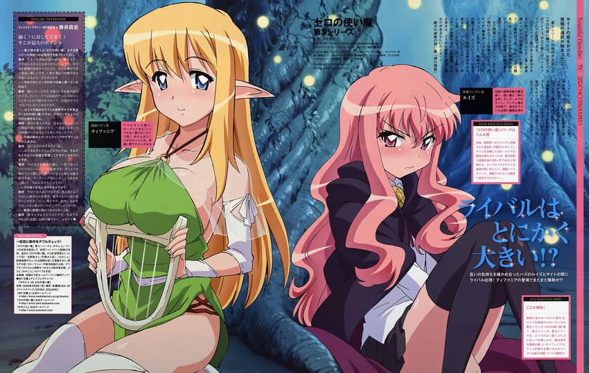 louise francoise le blanc de la valliere and tiffania westwood (zero no tsukaima) drawn by fujii_masahiro