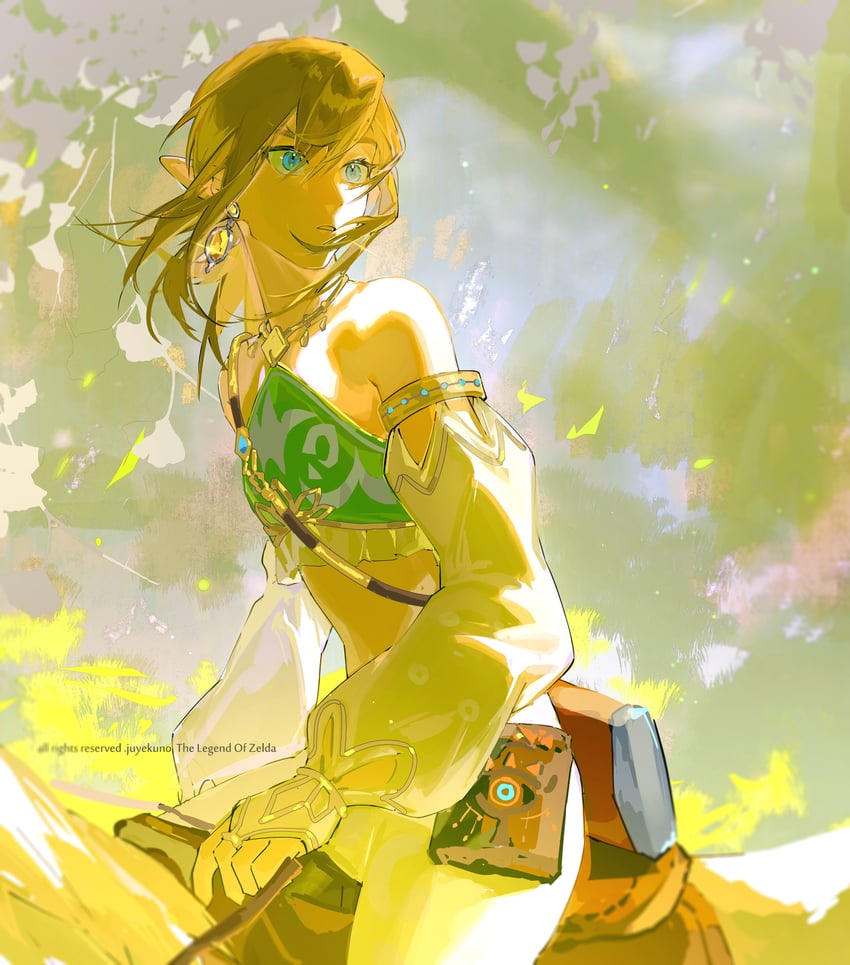 link (the legend of zelda and 1 more) drawn by juyekuno