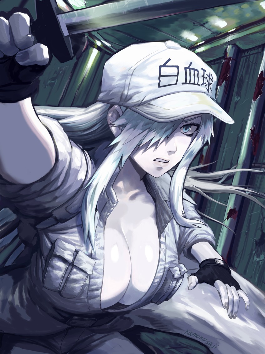 white blood cell and u-1196 (hataraku saibou and 1 more) drawn by sharp_mente
