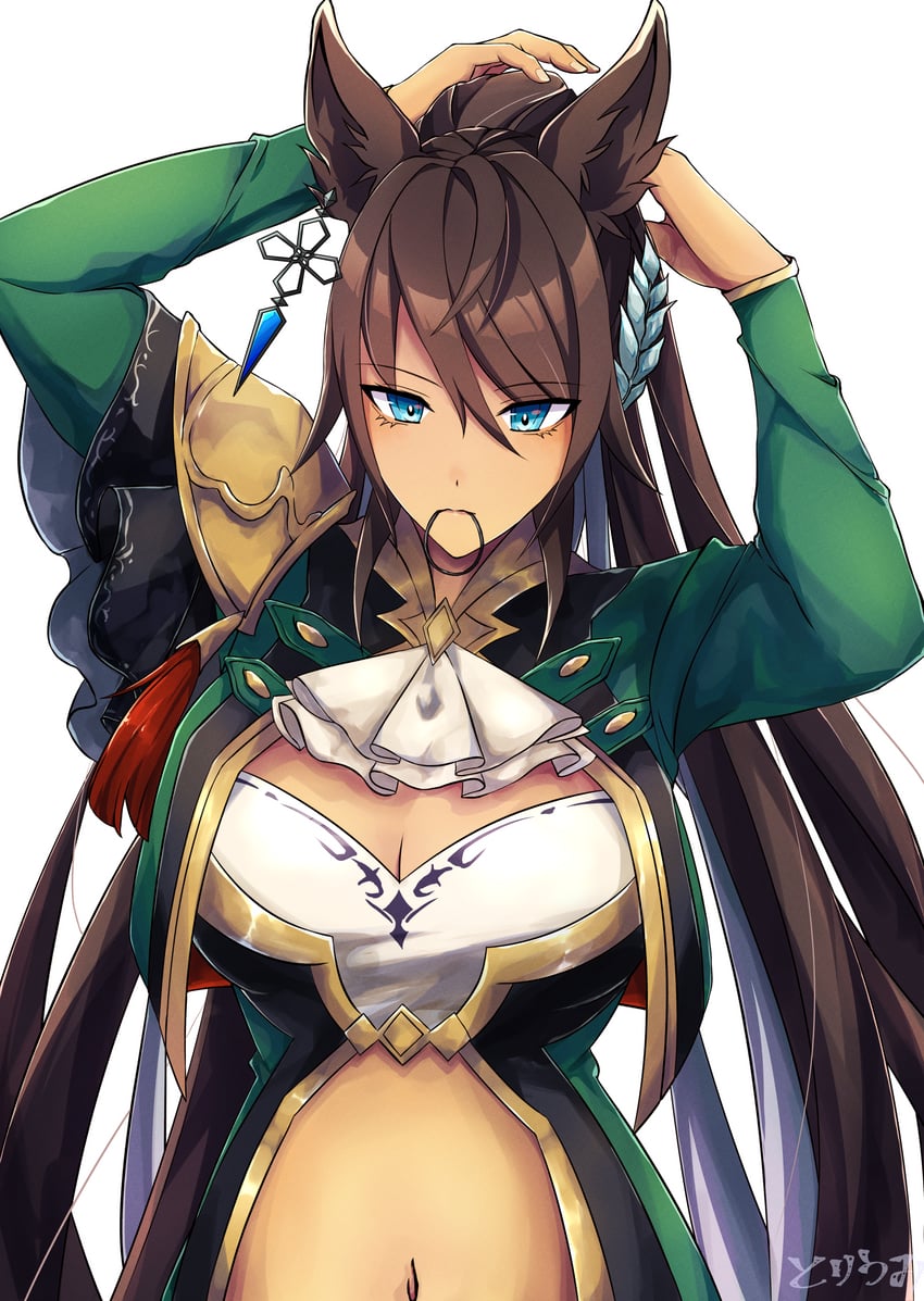 symboli kris s (umamusume) drawn by toriumi_(fioripera14)