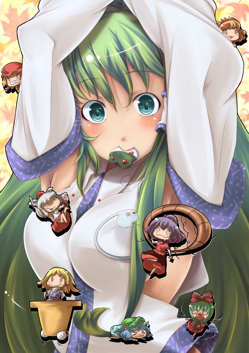 kochiya sanae, inubashiri momiji, moriya suwako, kawashiro nitori, yasaka kanako, and 3 more (touhou and 1 more) drawn by aaii