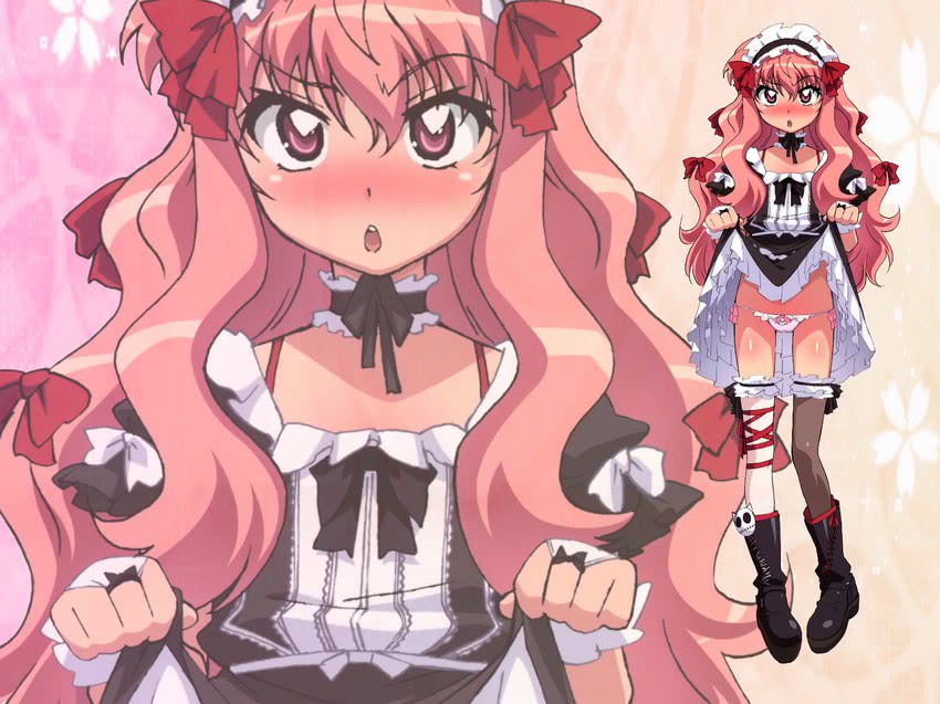 louise francoise le blanc de la valliere (zero no tsukaima)