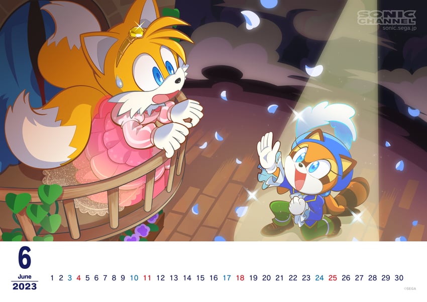 tails and marine the raccoon (sonic and 2 more) drawn by hayane_tomoko