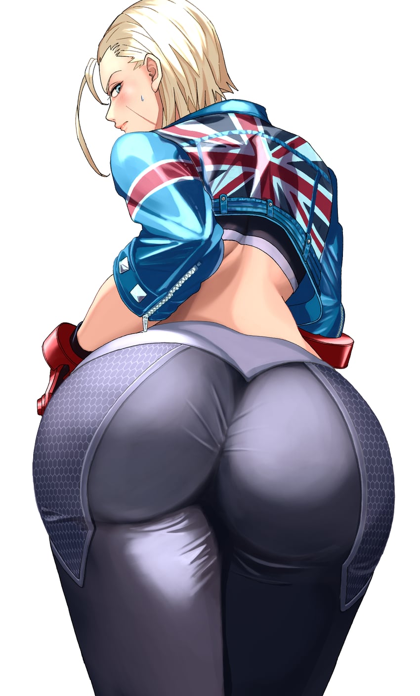 cammy white (street fighter and 1 more) drawn by tantan_0028