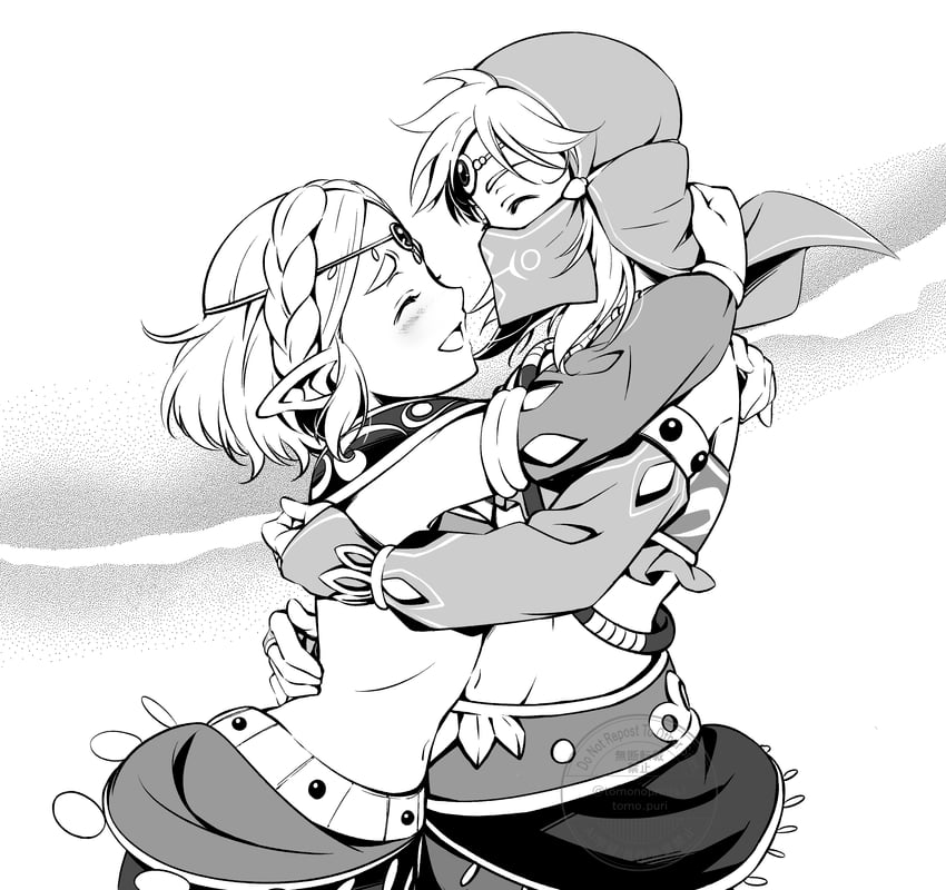 link and princess zelda (the legend of zelda and 1 more) drawn by tomo.puri