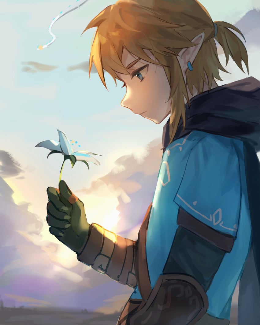 link and light dragon (the legend of zelda and 1 more) drawn by yumiyumo3o