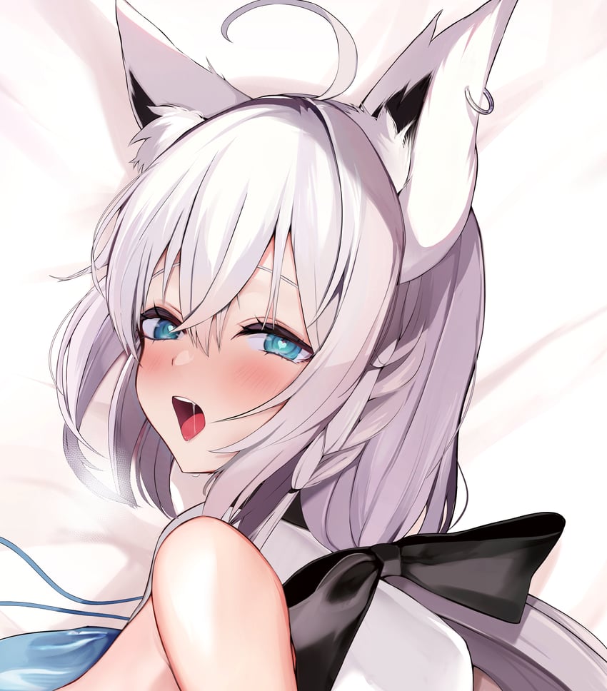 shirakami fubuki (hololive) drawn by niku_(hamuchang)