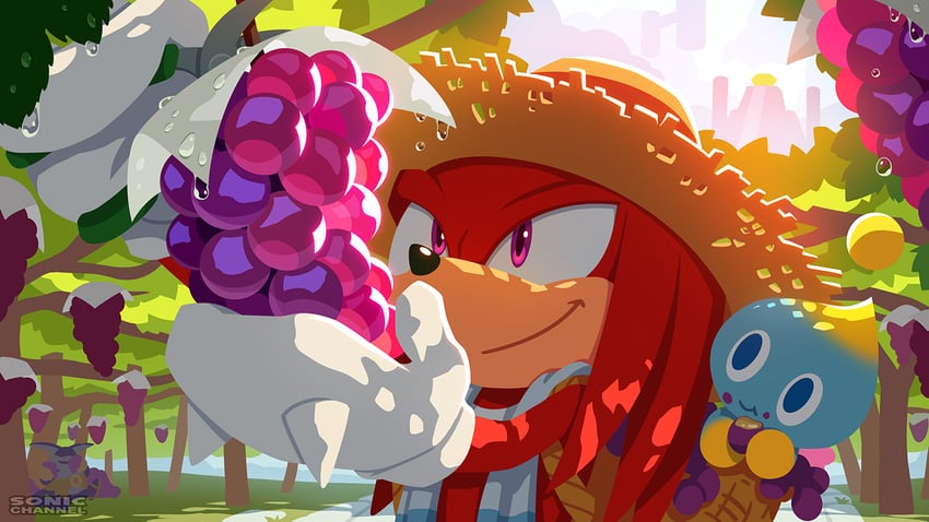 knuckles the echidna, neutral chao, and big the cat (sonic) drawn by karasuno_yui